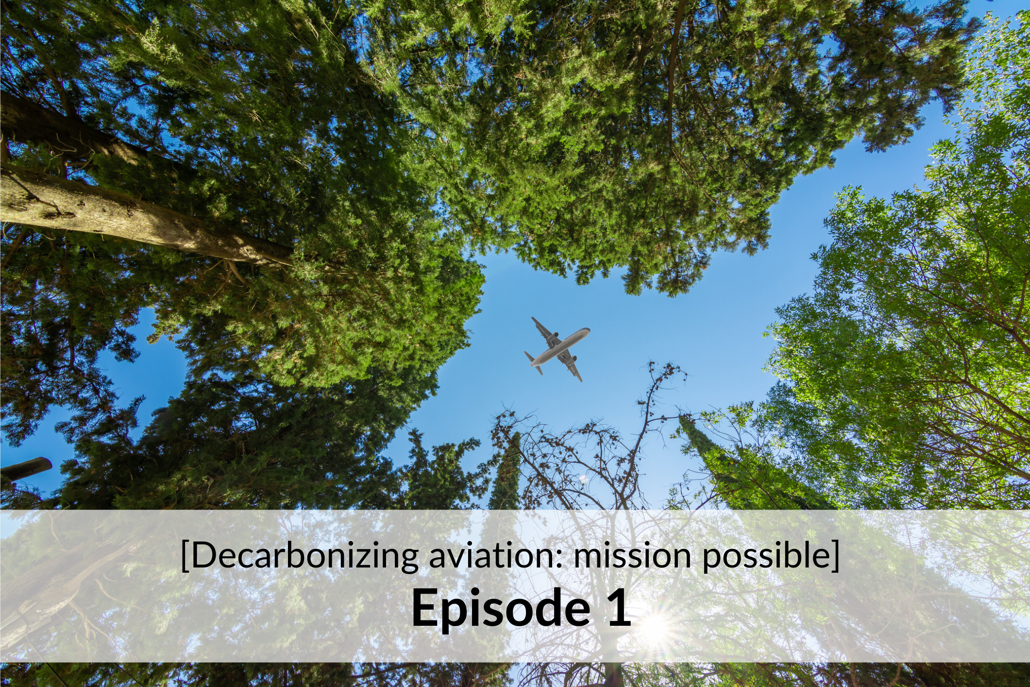[Decarbonizing Aviation] Part 1 How much CO2 does aviation emit